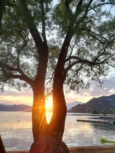 Unser eigener Strand, noch mit der alten Weide 